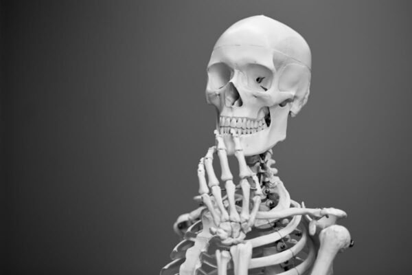 Dream About Bones – Meaning And Symbol
